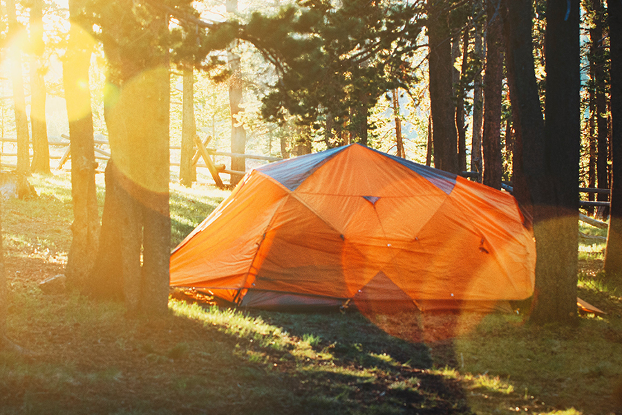 碳權需求與自然共融策劃